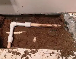 改则测漏水哪家好